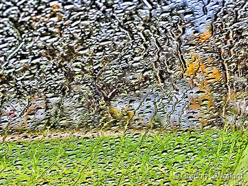 Rainy Windshield_DSCF5016.jpg - Photographed at Smiths Falls, Ontario, Canada.